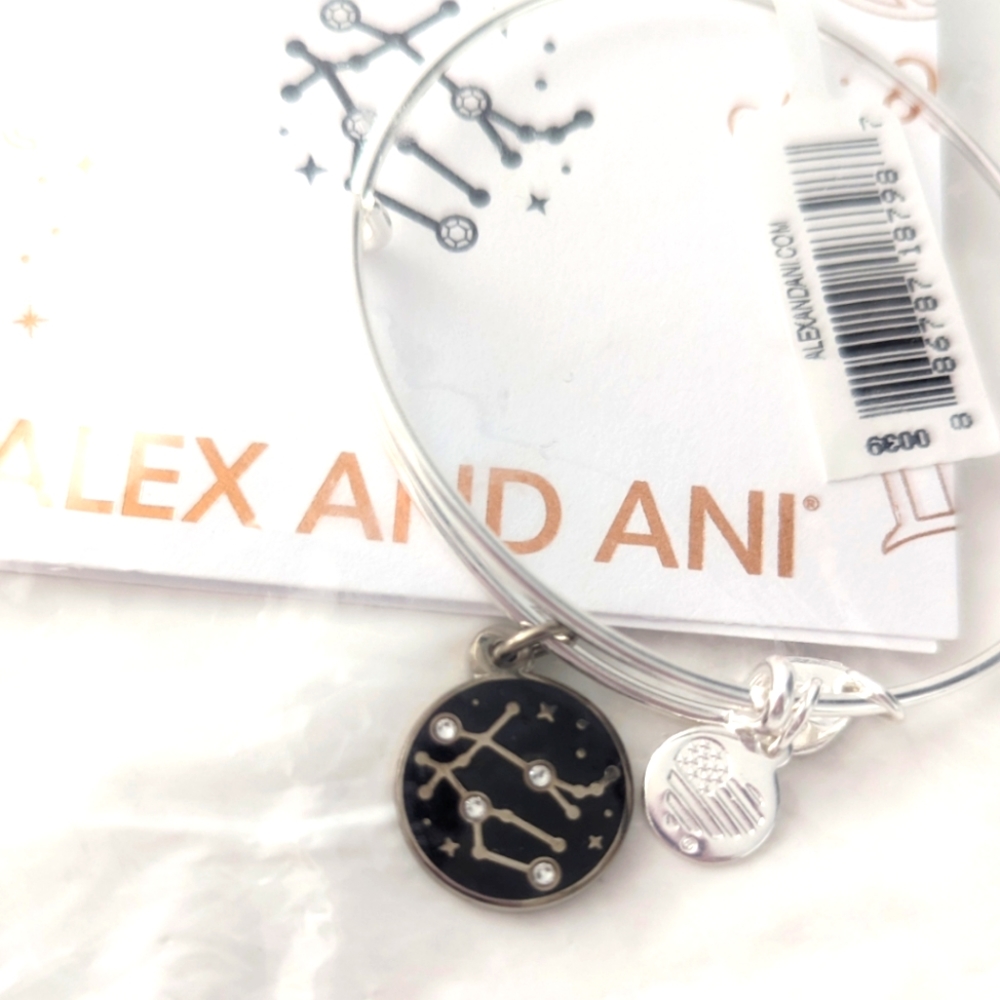 Alex and Ani Gemini Zodiac Charm Bangle, Color Silver